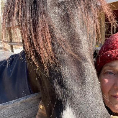 kimgoodspeed1's profile picture. WE WILL NEVER GO BACK