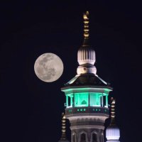 بلال فتحي (@belalalfathi) 's Twitter Profile Photo بلال فتحي (@belalalfathi) 's Twitter Profile Photo