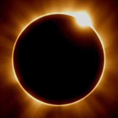 ZOMMBIE26's profile picture. 