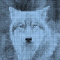 Faktenwolf - Trusted Blockwart (@derzuversichtl1) 's Twitter Profile