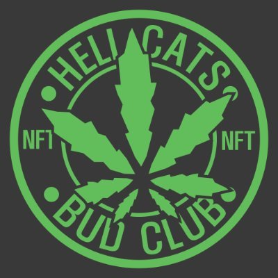 HellCats Bud Clubさんのプロフィール画像