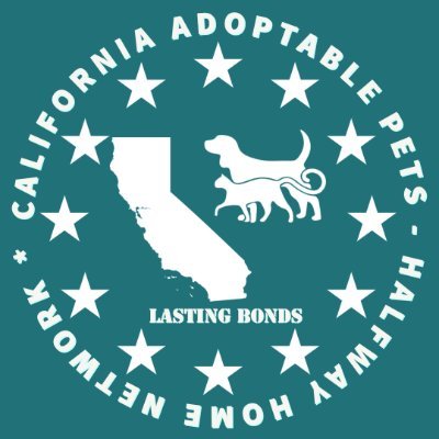 We help Californians find the right #pet to #adopt & #network #adoptable #shelter #animals. #AdoptDontShop