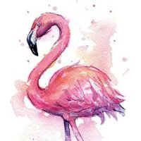 roz_flamingo(@roz_flamingo_) 's Twitter Profile Photo