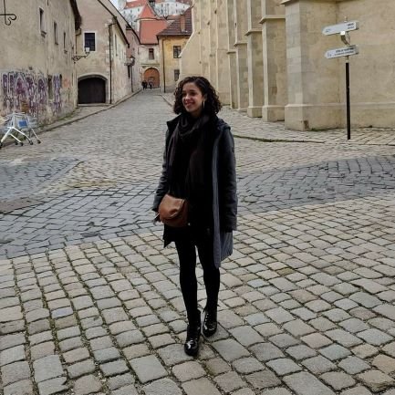 AvitalShafran's profile picture. PhD Student @CseHuji • Trustworthy and Secure ML