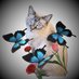 ZhV (@zhannavyvy) Twitter profile photo ZhV (@zhannavyvy) Twitter profile photo