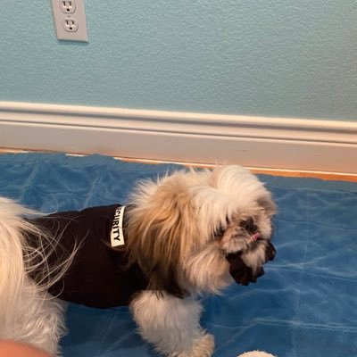 builtzdifferent's profile picture. accurate
