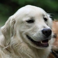 🔥 DeborahTheGreat🔥 Unaffiliated Voter (@deborah_cadabra) 's Twitter Profile