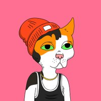 CuandoCrypto (@cuandocrypto) 's Twitter Profile