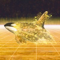 Whales Worldwide (@whaleworldwide) 's Twitter Profile