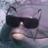 JeanVermamdois's profile picture. and so it goes, and so it goes…