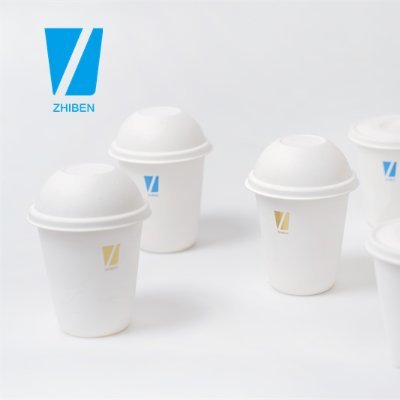 Biodegradable bagasse packagings manufacture.Main products: Bagasse lid,cup,cutlerys,tableware,trays,boxes,containers etc. Passed OK COMPOST HOME certificate