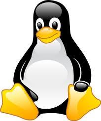 My name is Wellington, I'm 27 years old, I live in Brazil São Paulo, I'm System's Analist and I love tech.
