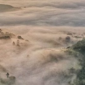 62rPpZH3th9Ozkm's profile picture. 卖原味内裤袜子，接定制