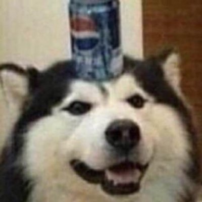 memeさんのプロフィール画像