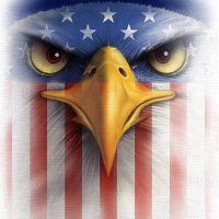 Poe 🇺🇸 🇮🇱 ✝️ 🦅(@PoeNation) 's Twitter Profile Photo