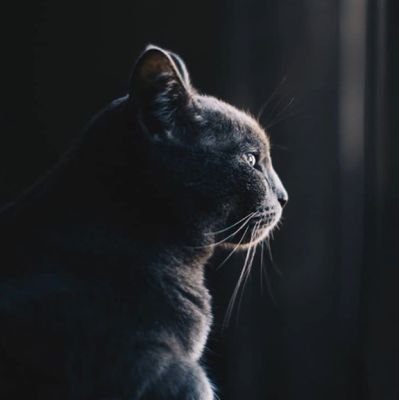 ritwik_5805's profile picture. 