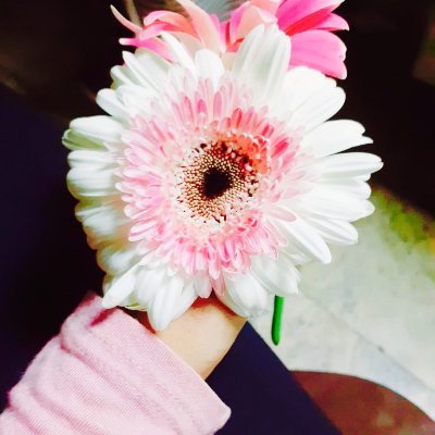 (لا إِلَهَ إِلَّا أَنْتَ سُبْحَانَكَ إِنِّي كُنْتُ مِنَ الظَّالِمِينَ)
💚💜🏳
#FreePalestine 🇵🇸
📌 Khartoum💘🥺