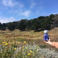 denacola from Flying Fish Cove (@flyfishcove) 's Twitter Profile