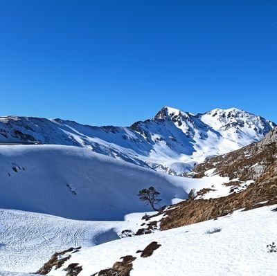 ToniPotter18's profile picture. 