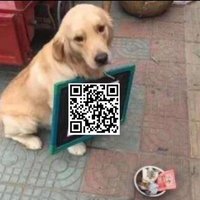 Dogehelpme (@dogehelpme) 's Twitter Profile Photo Dogehelpme (@dogehelpme) 's Twitter Profile Photo