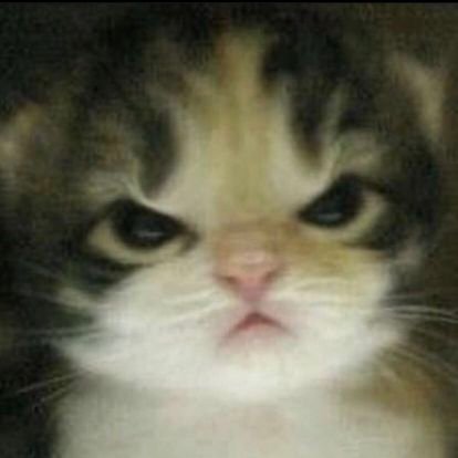 Be_Reformed's profile picture. 