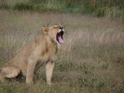 rdkell's profile picture. 