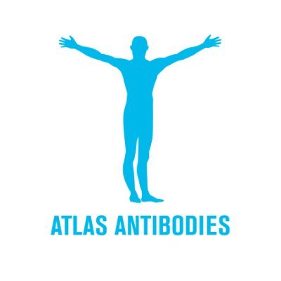 atlasantibodies Profile Picture