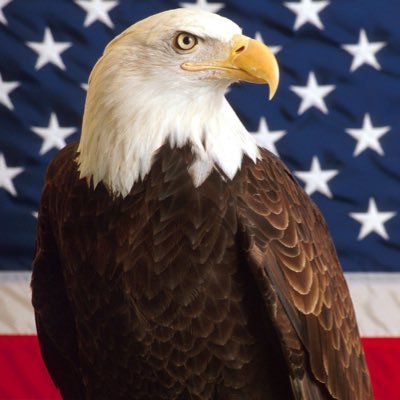 bedewine20's profile picture. “The only thing necessary for evil to triumph is for good men to do nothing.“ Time to stand up and be counted.