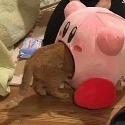 love_in_buff's profile picture. 荆楚人| 诸夏独立|芝麻人没有一个蘑菇的丨💙💛