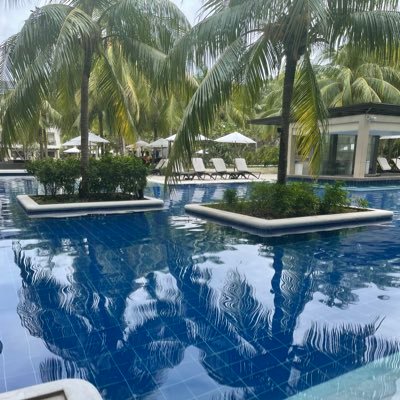 chuchupaako1's profile picture. 