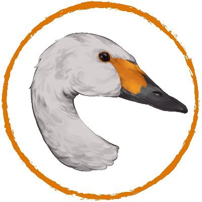 bewickiiontour's profile picture. We have left X, since 17.1.2025 this account is inactive. Follow our Blog! 🦢