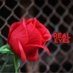 Realeyes 🌹 (@realeye45833234) Twitter profile photo Realeyes 🌹 (@realeye45833234) Twitter profile photo