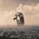 Ryan Crow-Enos - @THEskydiver11 - Twitter