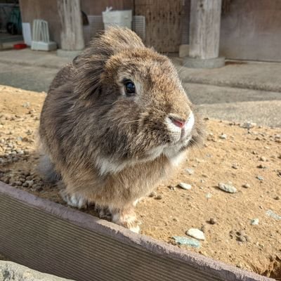 sorayuka2022's profile picture. 🟠趣味と応援日記🟠🇯🇵参政党推し🟠

お笑いと音楽と生き物も好き
🎙️#令和ロマン  #真空ジェシカ  #ロングコートダディ  #ロバート秋山  #ラランド  😽😸🎤#KOKIA #礼賛 🐬#水族館  #美術館  🐧
よろしくお願いします🦫🦭🐳🦈🐢🐑🐇🦥