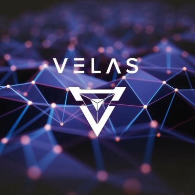 Javascript / Typescript / Nodejs / Vue developer
Loves crypto / Fan of velas