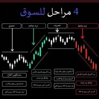 سالم ابراهيم (@al_tasi) 's Twitter Profile