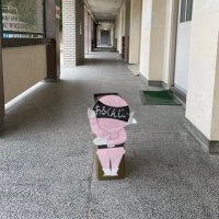 nomree (@nomreeree) 's Twitter Profile