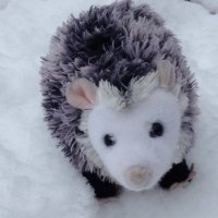 ExplodingPossum (@explodingpossum) 's Twitter Profile Photo ExplodingPossum (@explodingpossum) 's Twitter Profile Photo