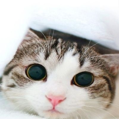 mploy_mpp's profile picture. Alone