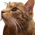 JoHannsi (@johannsii) Twitter profile photo JoHannsi (@johannsii) Twitter profile photo