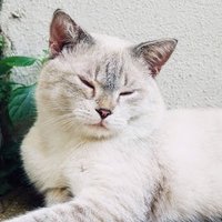 Emmitt Nathaly (@nathaly_emmitt) 's Twitter Profile
