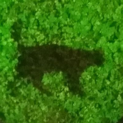 Kkk88849's profile picture. 