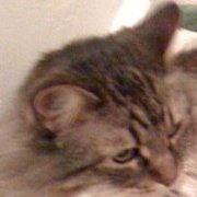 DonnaS1's profile picture. 