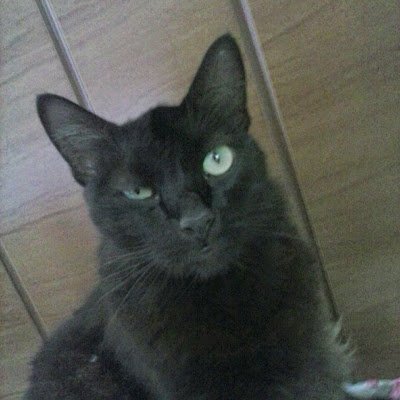 doo_scoobydooby's profile picture. 