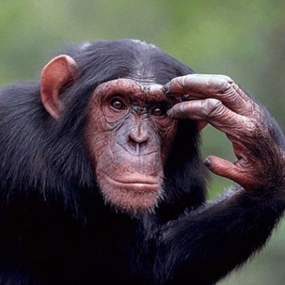 Mario30981490's profile picture. 