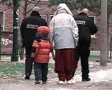 cantibs's profile picture. Solving The Poverty Crises