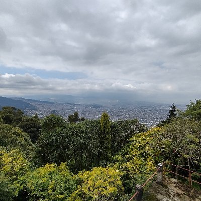 Holi
