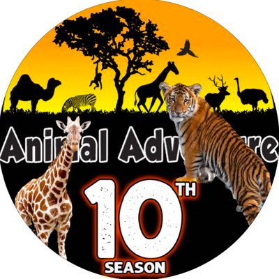 Over 300 animals representing more than 100 different species. In our 10th season of Adventure in Upstate, NY!