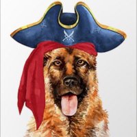 Shill Sniffing Dog (@dog_shill) 's Twitter Profile Photo Shill Sniffing Dog (@dog_shill) 's Twitter Profile Photo