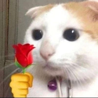 PtbWayne's profile picture.